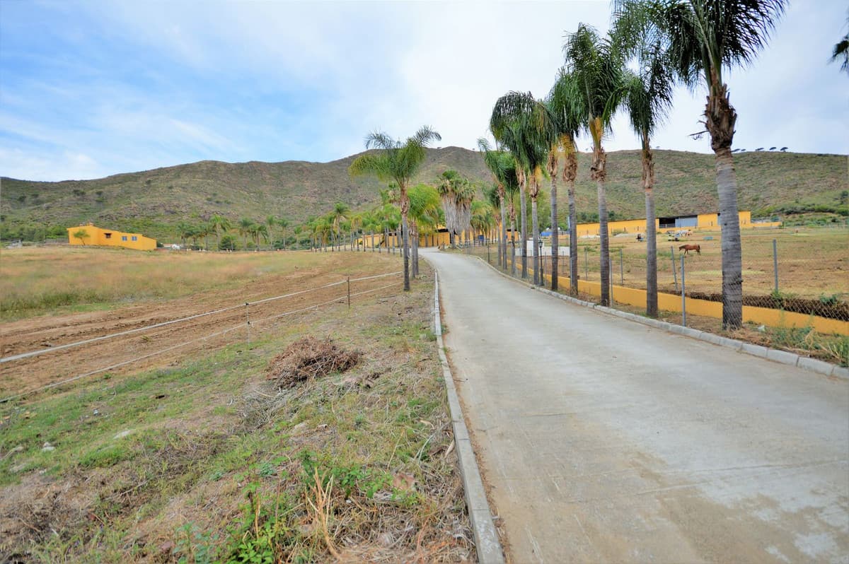 Fantastic and unique equestrian farm in an area surrounded by pine forests and Mediterranean vegetation
