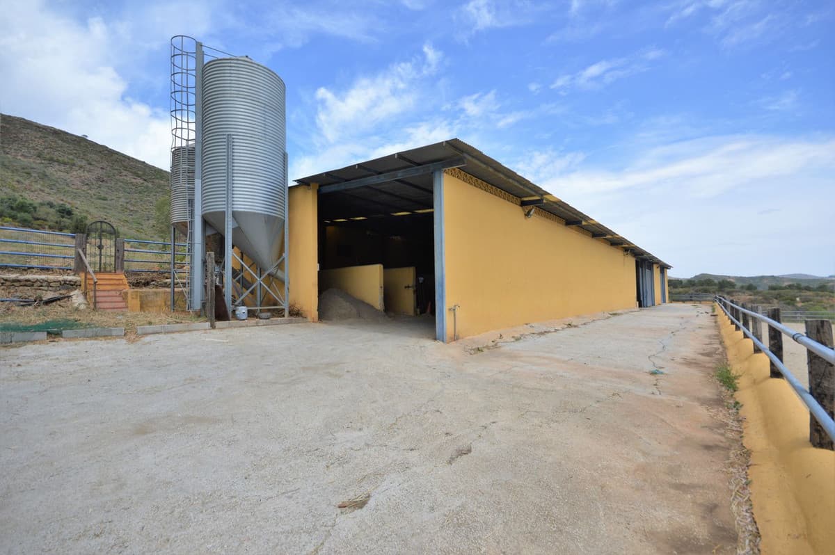 Fantastic and unique equestrian farm in an area surrounded by pine forests and Mediterranean vegetation