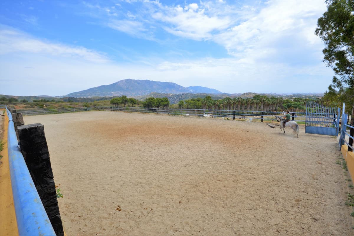 Fantastic and unique equestrian farm in an area surrounded by pine forests and Mediterranean vegetation