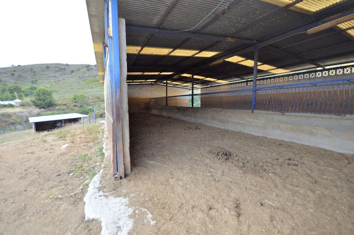 Fantastic and unique equestrian farm in an area surrounded by pine forests and Mediterranean vegetation