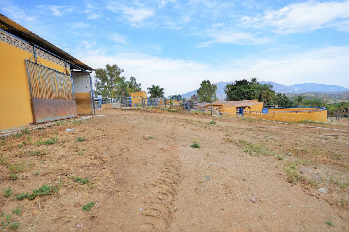 Fantastic and unique equestrian farm in an area surrounded by pine forests and Mediterranean vegetation