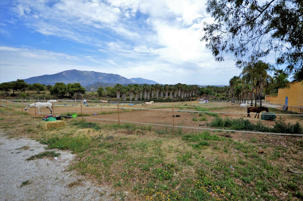 Fantastic and unique equestrian farm in an area surrounded by pine forests and Mediterranean vegetation