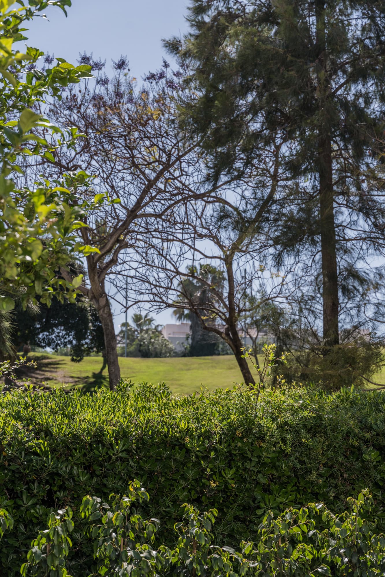 Located in the sought-after community of Terrazas de La Quinta in Benahavís, this beautifully renovated ground floor apa