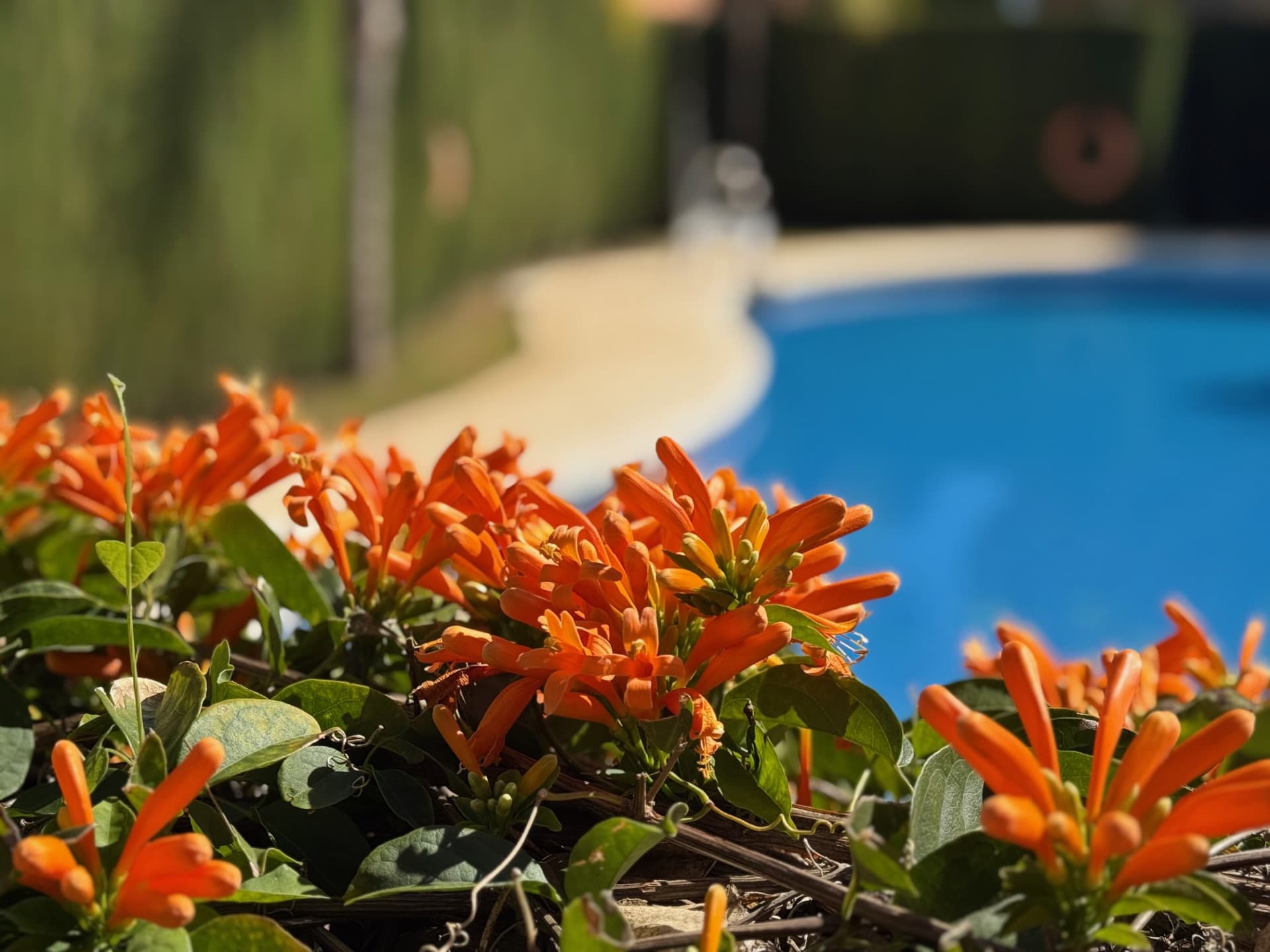 Spacious Corner Townhouse in Las Villas de Santa Maria, Estepona West Located in a residential area, urb Las Villas de S