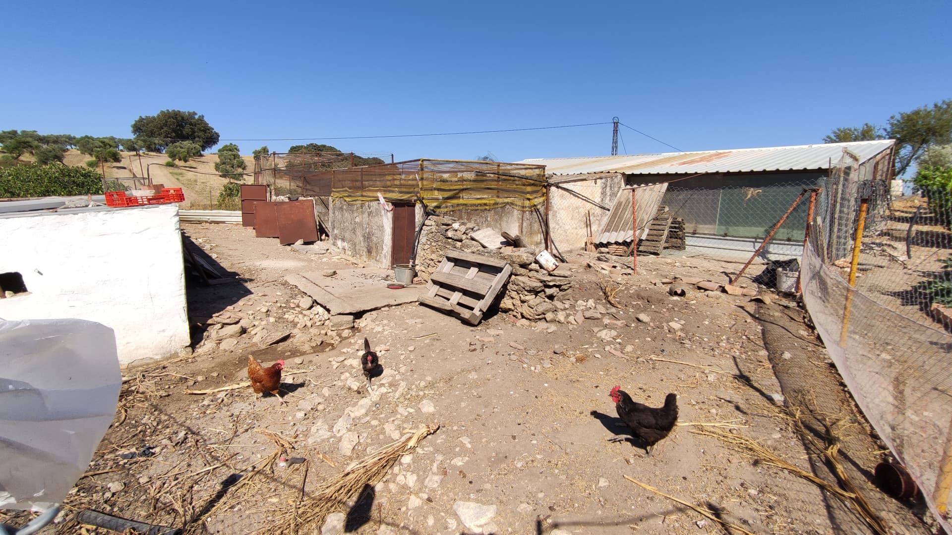 Rustic property in Ronda