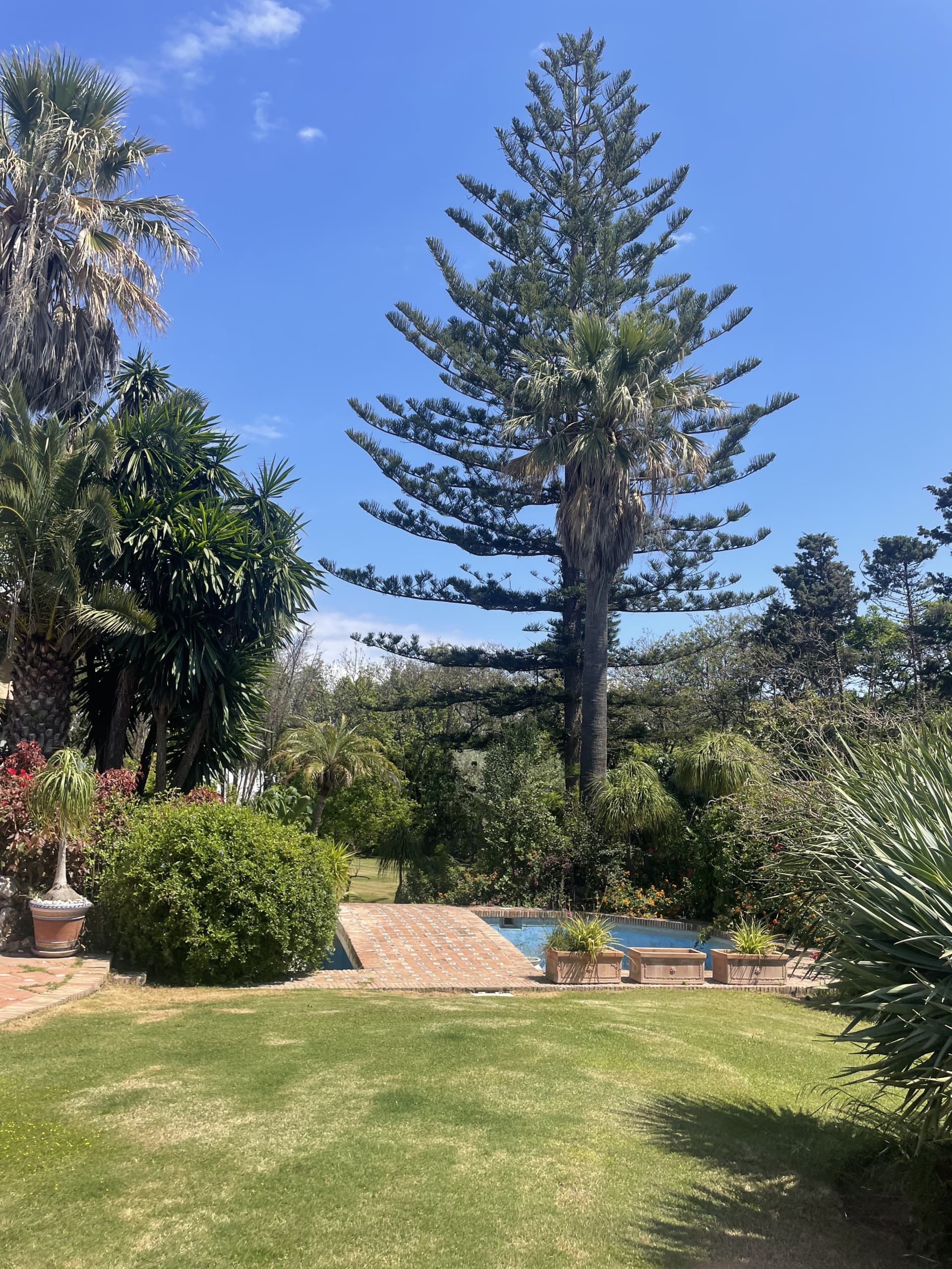 Frontline beach villa, New Golden Mile, Estepona