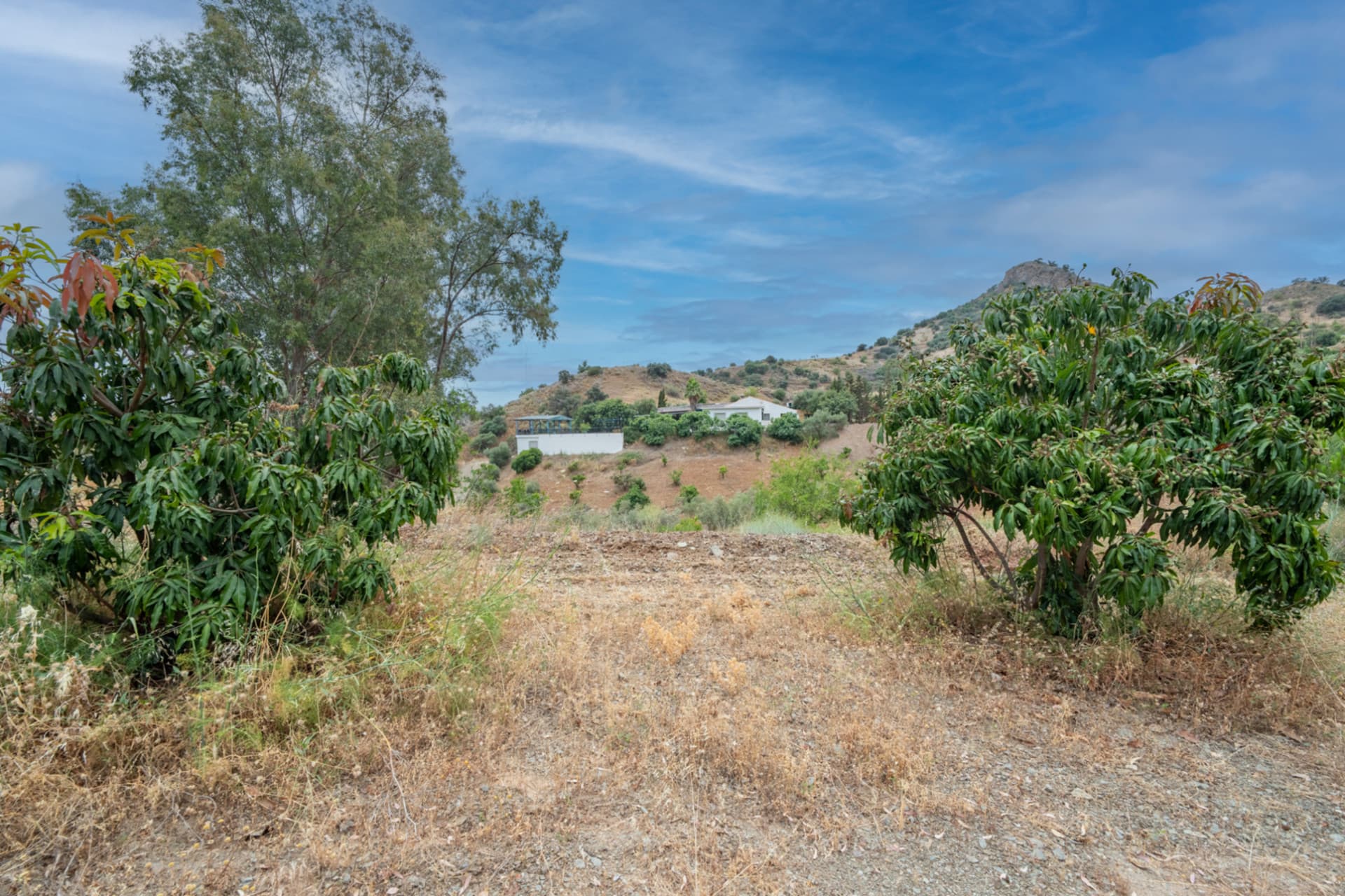 Discover this magnificent property located in a privileged setting, surrounded by nature, peace, and absolute privacy, just a few minutes from Santa Rosalía - Maqueda.