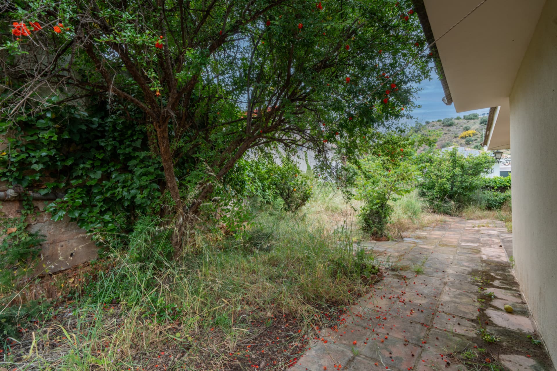Exclusive Villa in El Mayorazgo with Garden, Pool and Guest Apartment