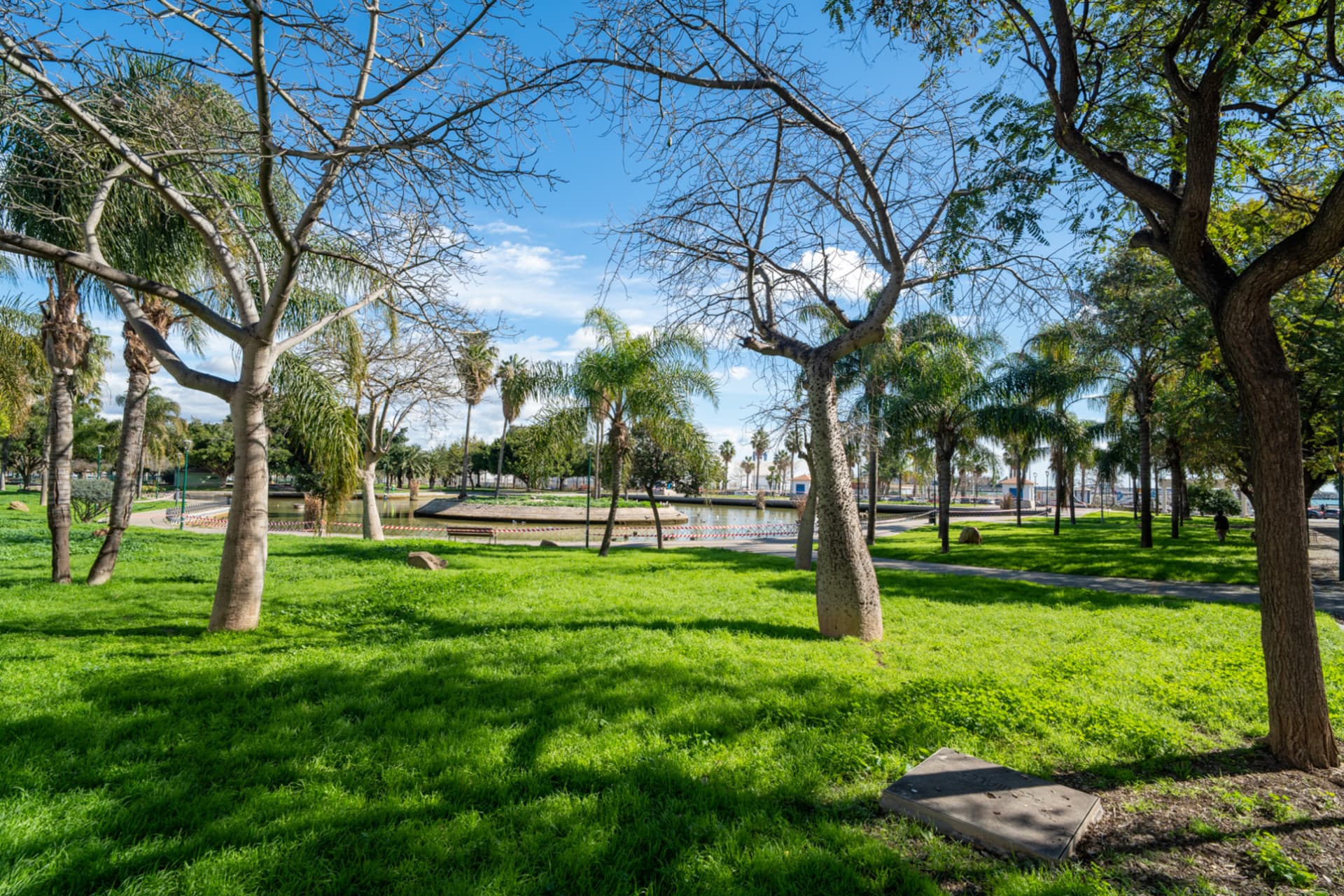 Opportunity in one of the most popular areas in Malaga! Fantastic house located in the area of Huelin, one of the most popular areas for its proximity to the sea and its excellent quality of life.