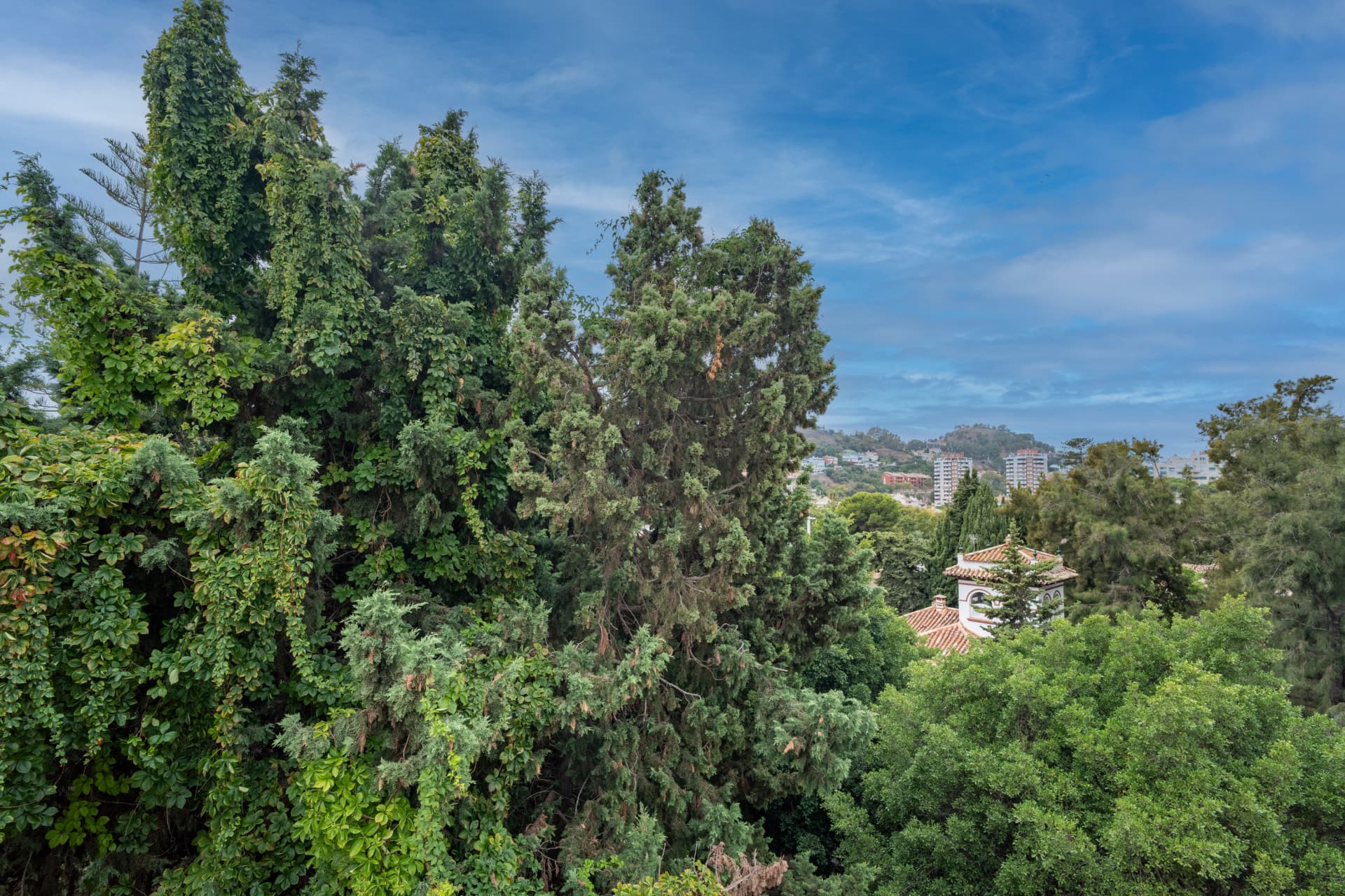 Spacious and bright 4-bedroom home on Paseo Miramar, El Limonar, with private parking and a lift